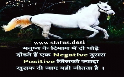 Negative Positive soch status Download